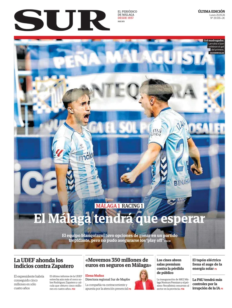 Diario Sur — 25/05